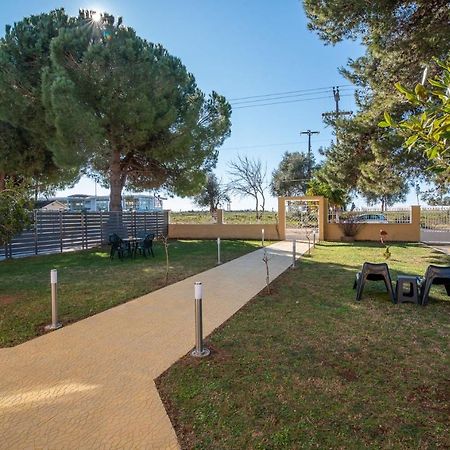 פרבזה Pine Trees Apartment מראה חיצוני תמונה